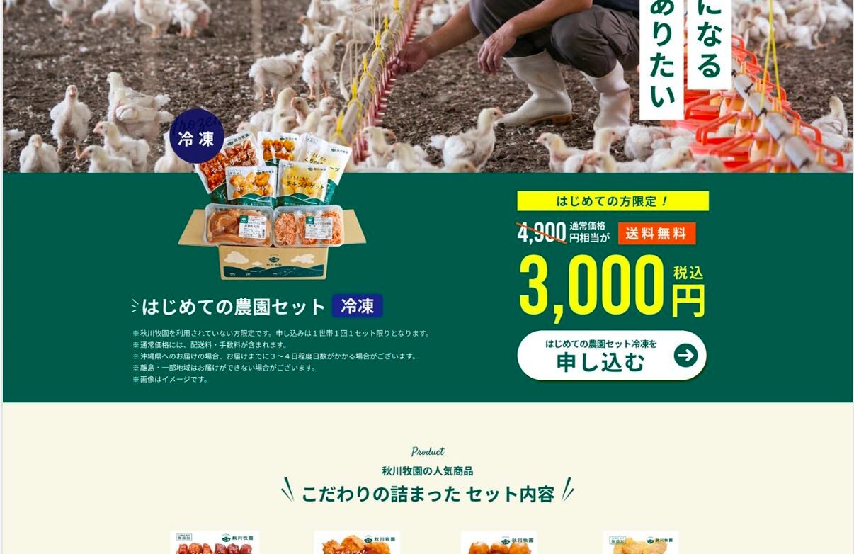 Japanese landing page design