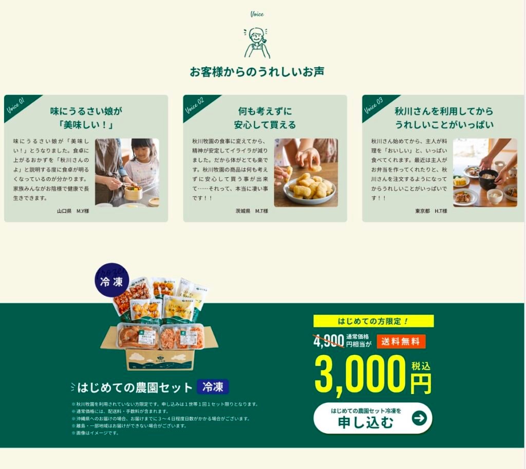 Japanese landing page design UX